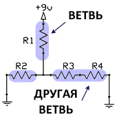 Ветвь