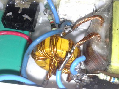 Nemo2286.jpg
