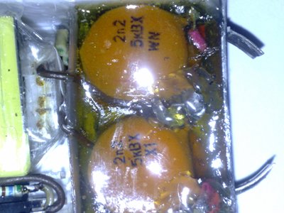 Nemo2288.jpg