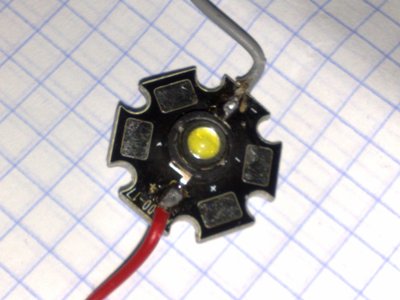 Nemo6442.jpg