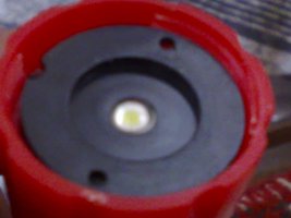 Nemo7295.jpg