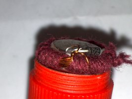 Nemo7321.jpg