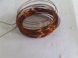Nemo7272.jpg