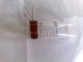Nemo7303.jpg