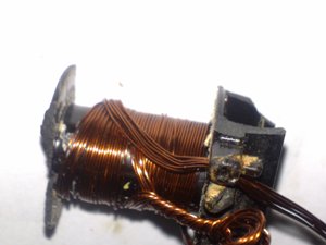 Nemo6732.jpg