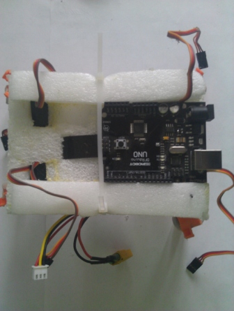 IMAG0336.jpg