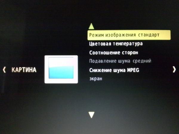 Раздел настройки отображения RUS